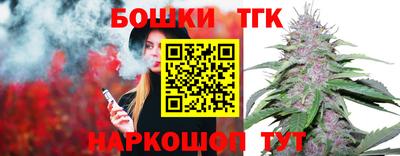 МДПВ Новозыбков