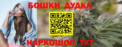 дмт Новодвинск
