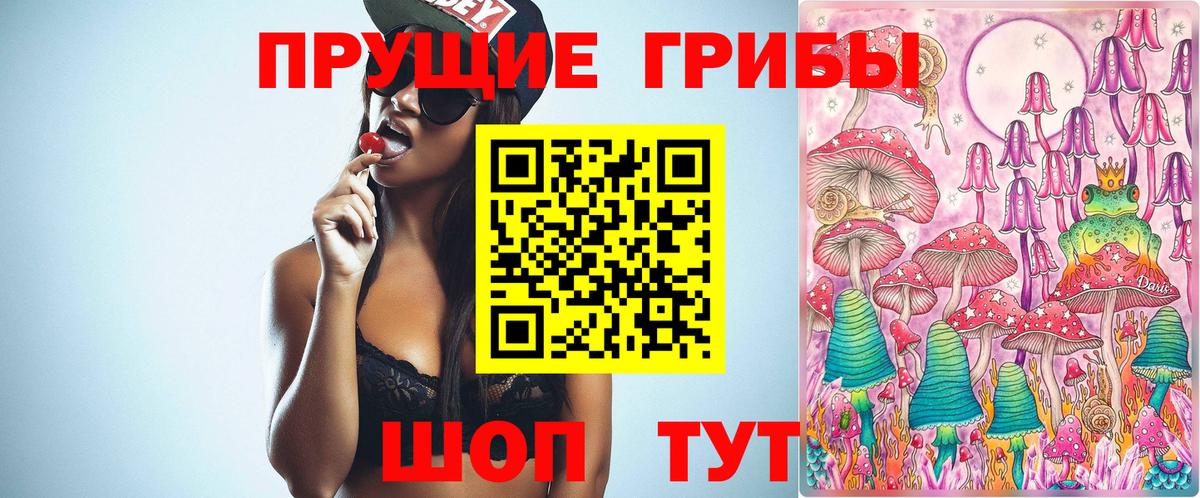 Псилоцибиновые грибы MAGIC MUSHROOMS  Вход с VPN  Химки 